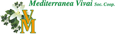 MEDITERRANEA VIVAI SOC. COOP.