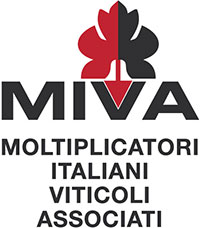 M.I.V.A. – MOLTIPLICATORI ITALIANI VITICOLI ASSOCIATI