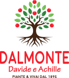 DALMONTE DAVIDE E ACHILLE SOC. AGR. S.S.